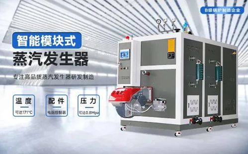 蒸汽模塊爐 洗衣設備與計算機軟硬件輔助設備的高效節能解決方案