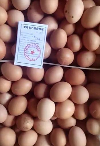 科左中旗開具第一張食用農產品合格證開啟全面試行食用農產品合格證管理